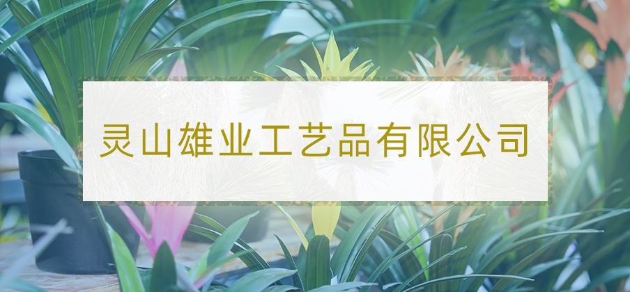 大图-04