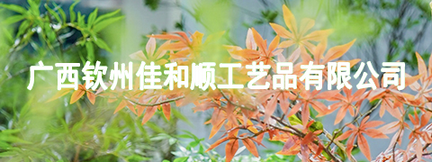 【01】商家广告大图-1