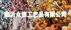 【10】商家广告小图-10