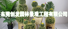 【11】商家广告小图-11