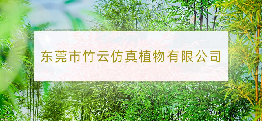 大图-05 拷贝