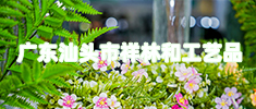 商家广告小图