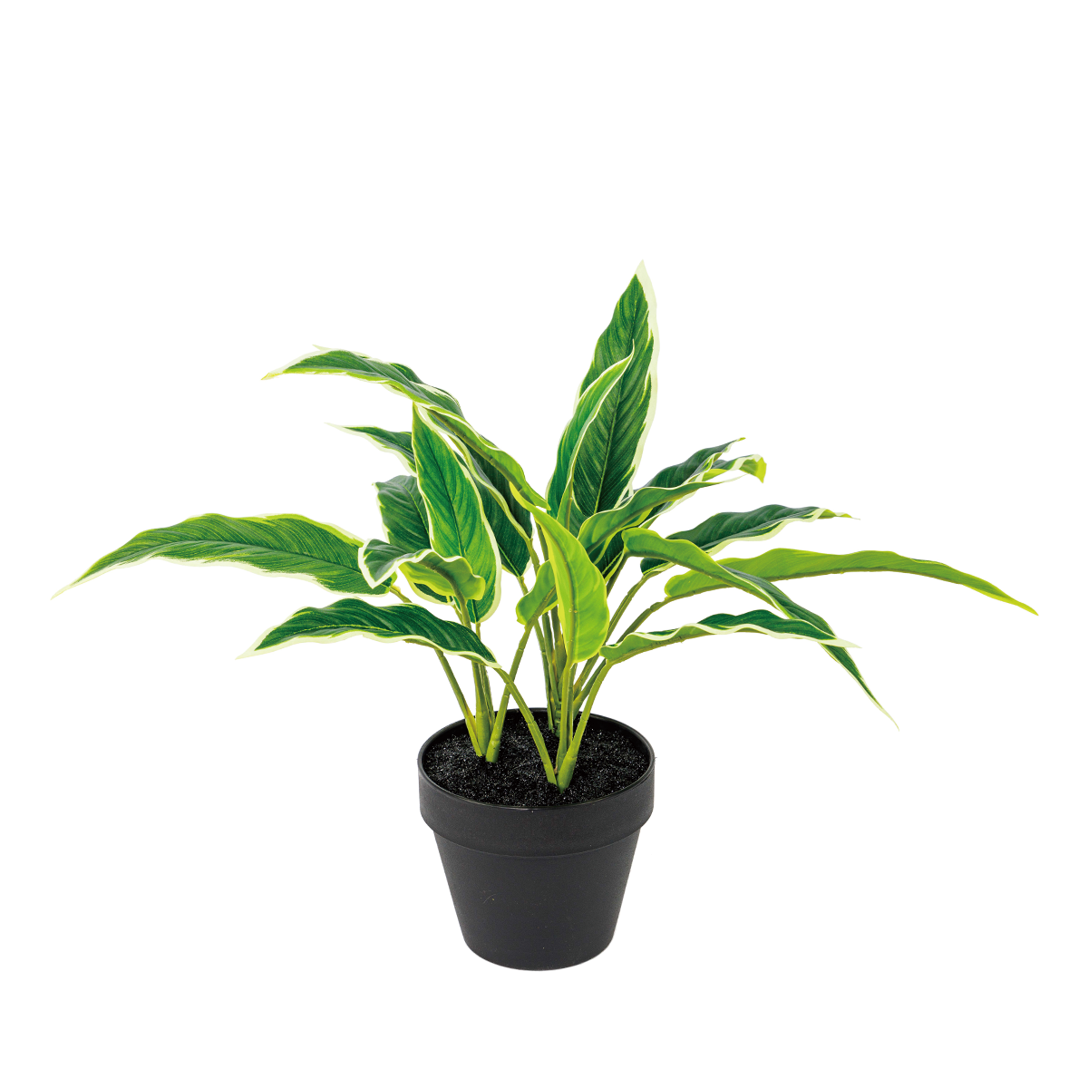 100CM(WDLR-WNQ-10058W)
