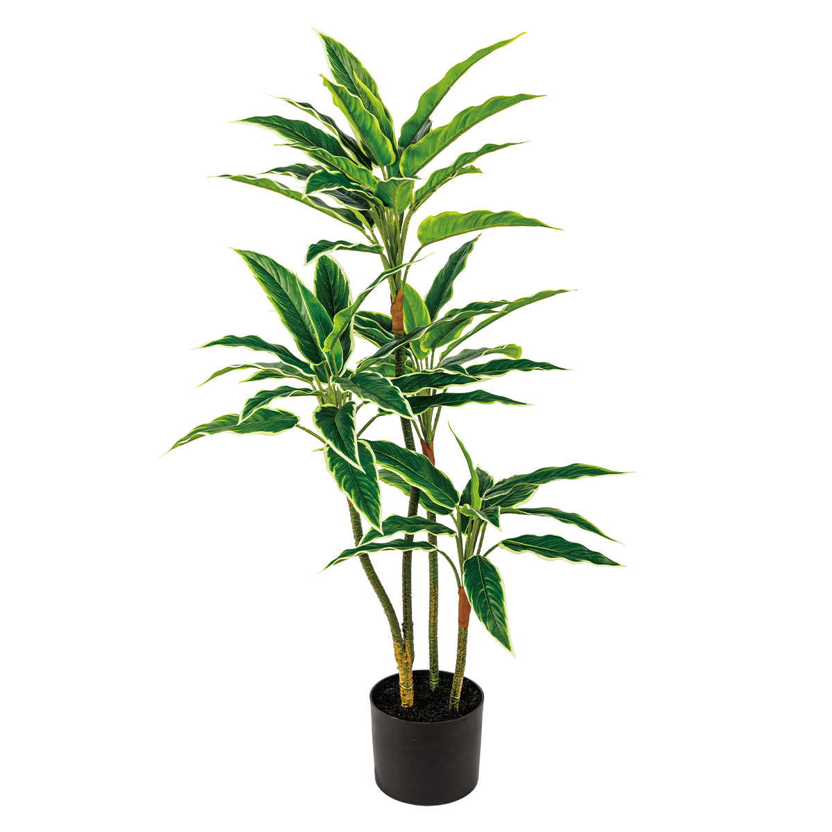 50CM(WDLR-WNQ-5043W)