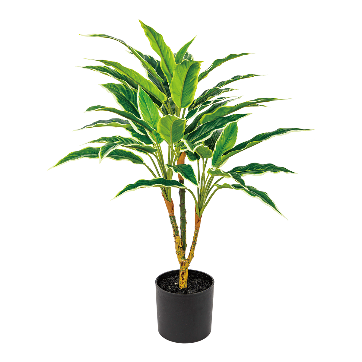 45CM(WDLR-WNQ-4532W)