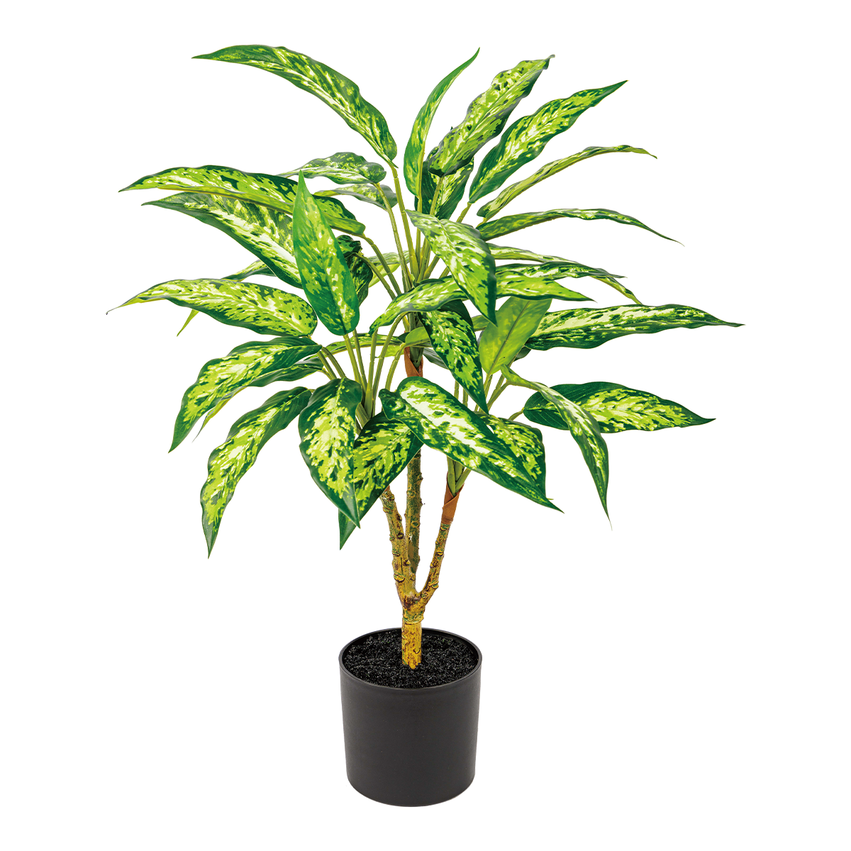 50CM(WDLR-WNQ-5043S)