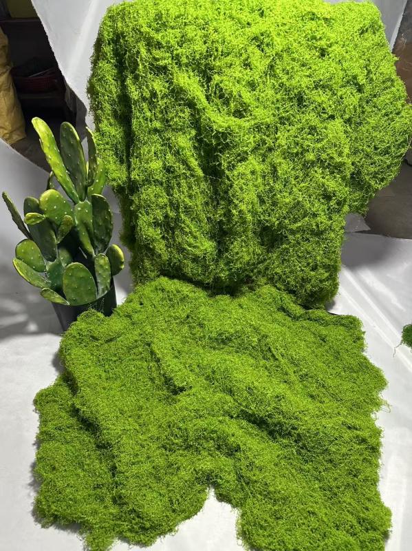 散装中绿色平面