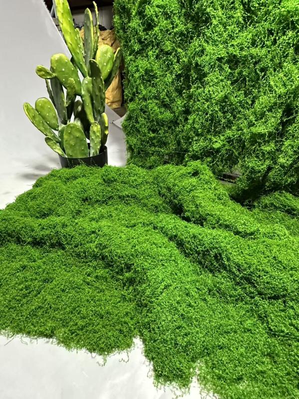 散装深绿色平面