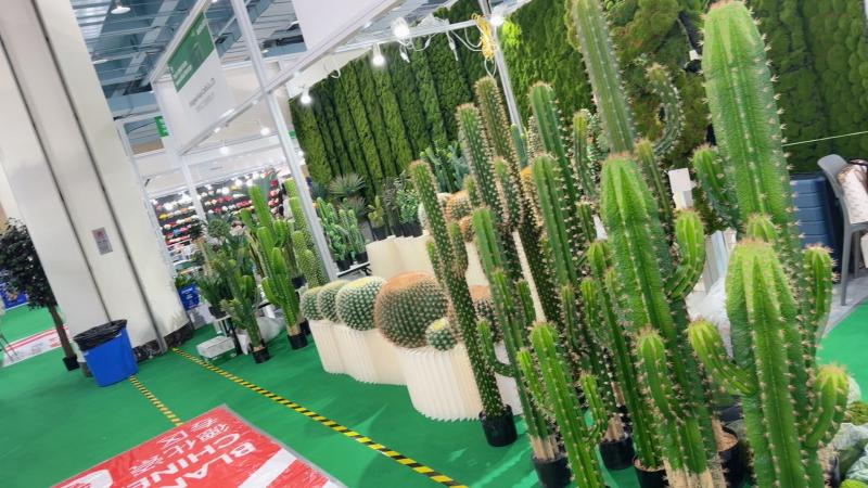 仿真仙人掌