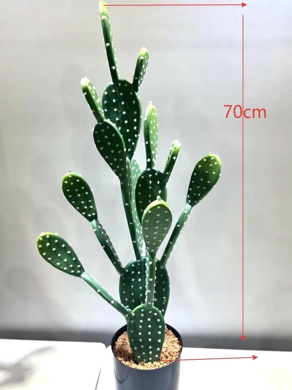 8a3a0924512b74d47ab5e558a0e5667f