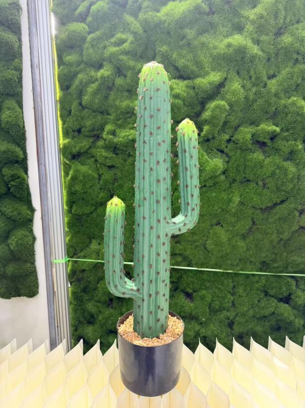 微信图片_20260425113930_358_49