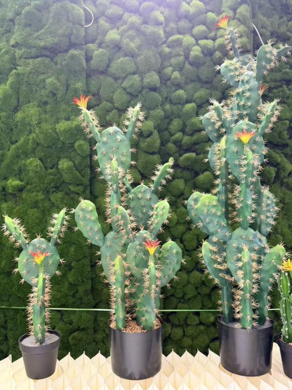 微信图片_20260425114259_370_49